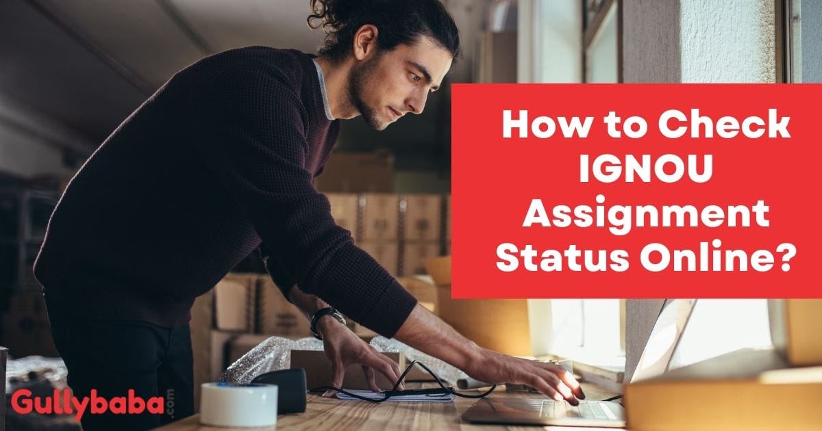 how to check assignment in ignou