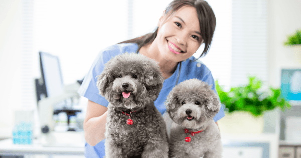 All About IGNOU Veterinary Course (PGDAW)