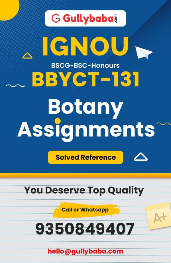BBYCT-131 Assignment