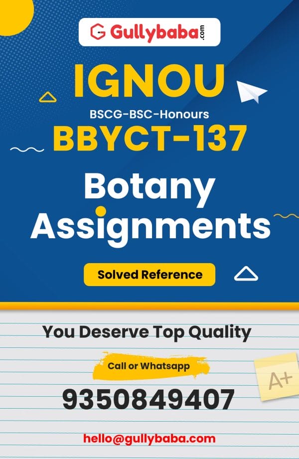 BBYCT-137 Assignment