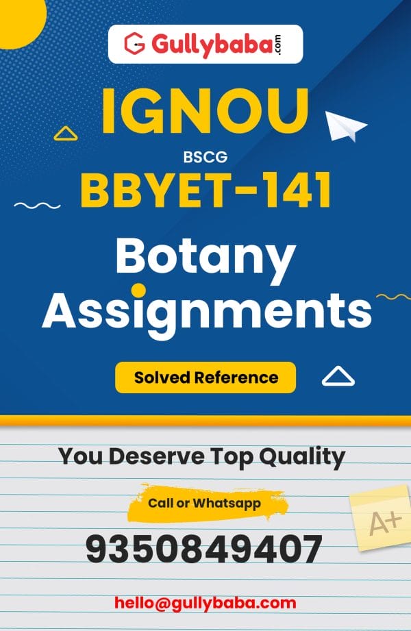 BBYET-141 Assignment