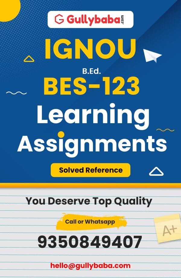 BES-123 Assignment