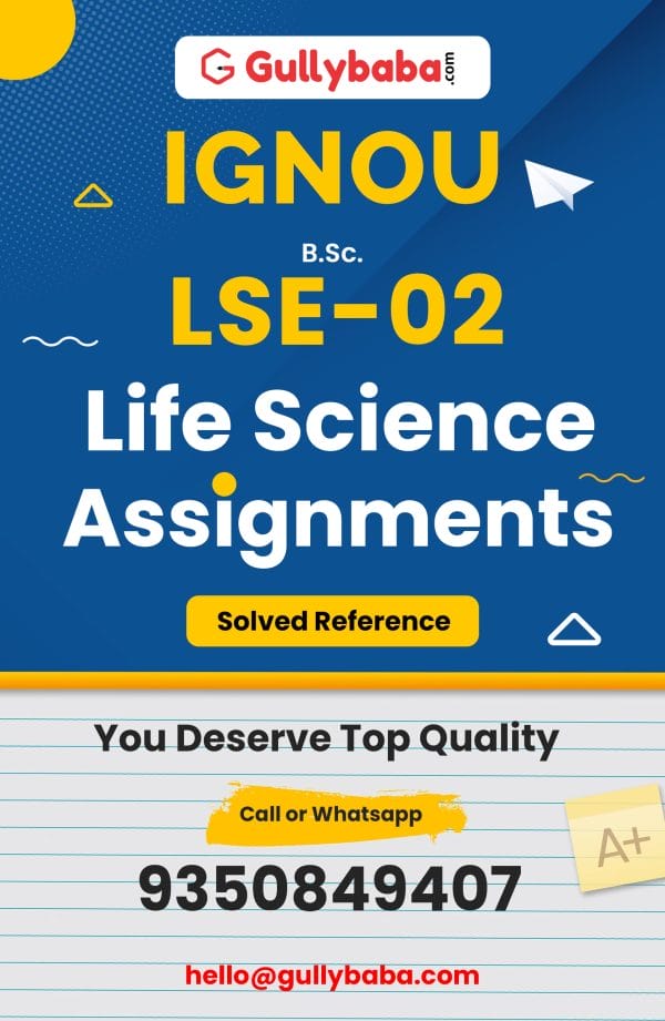 LSE-02 Assignment