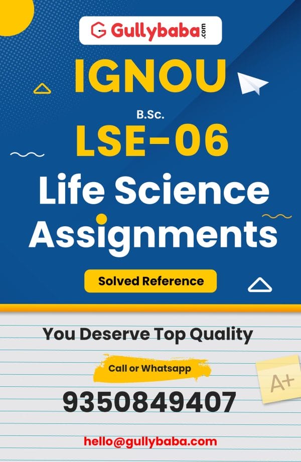 LSE-06 Assignment