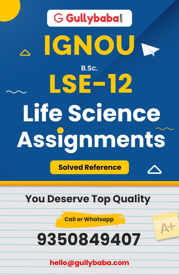 LSE-12 Assignment