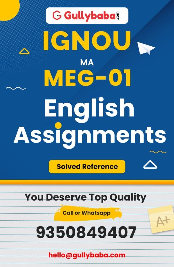 MEG-01 Assignment