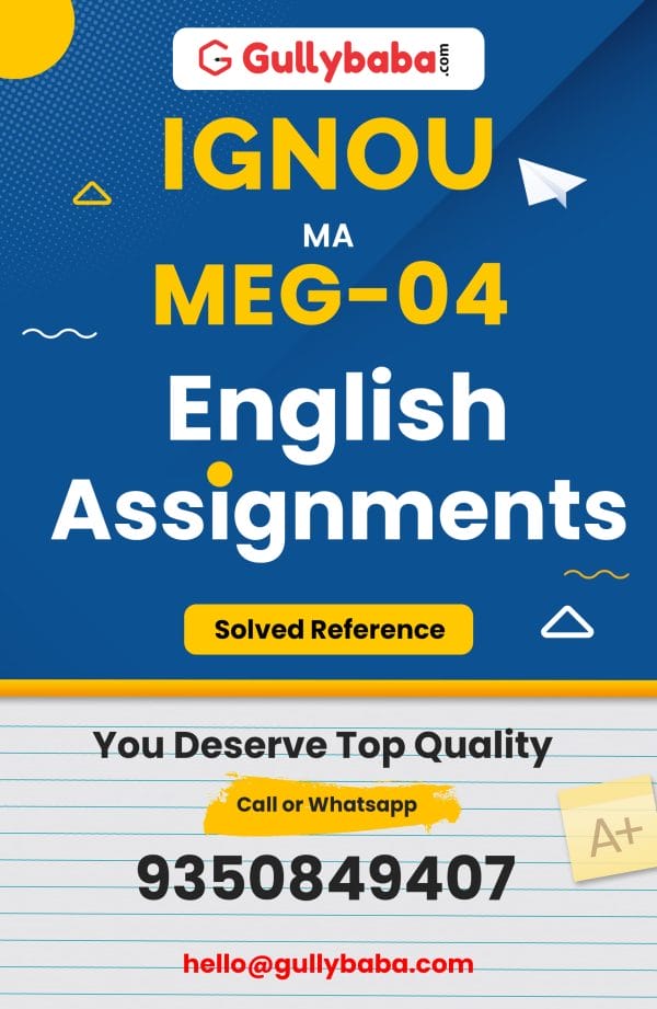 MEG-04 Assignment