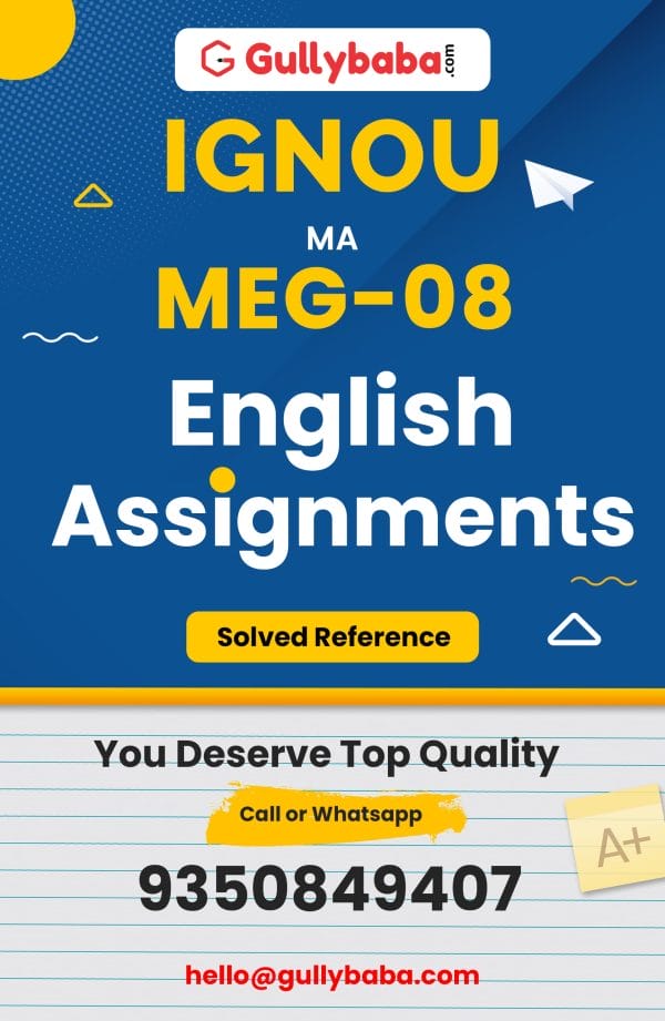 MEG-08 Assignment