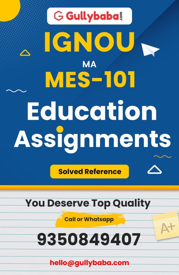 MES-101 Assignment