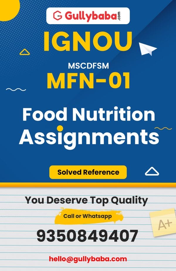 MFN-01 Assignment