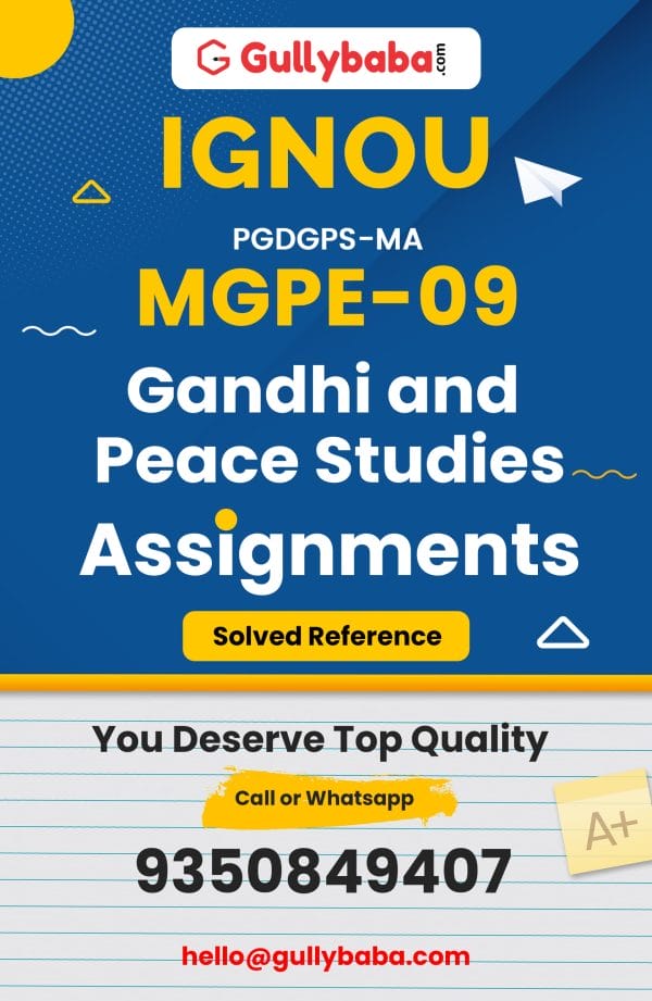 MGPE-09 Assignment