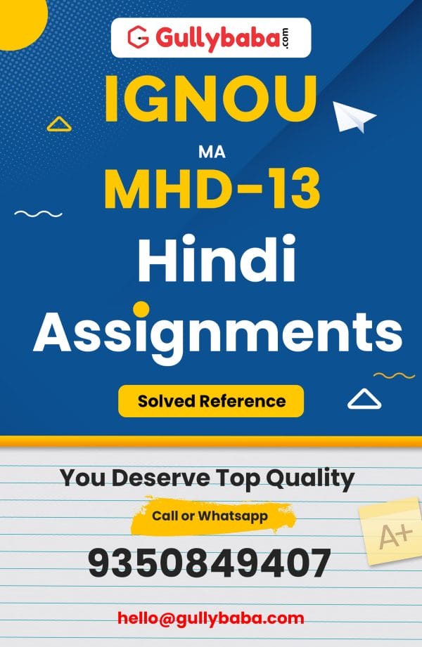 MHD-13 Assignment