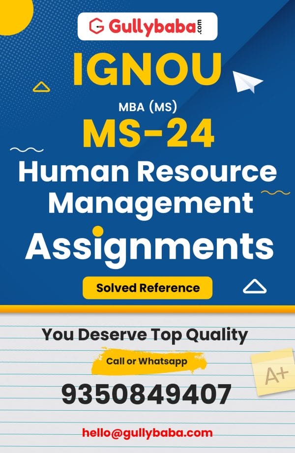 MS-24 Assignment