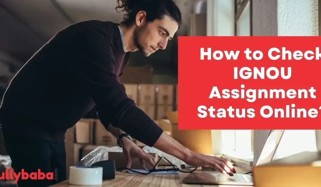 How to Check IGNOU Assignment Status Online?