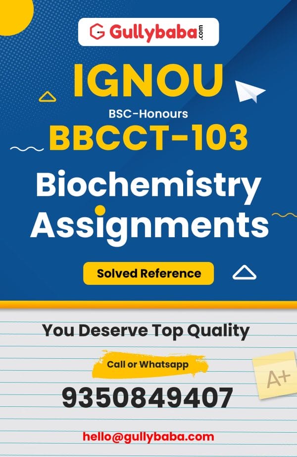 BBCCT-103 Assignment
