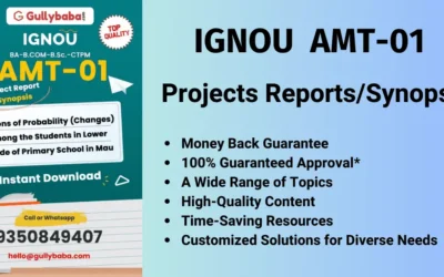 IGNOU AMT 1 Project Reports- The Key Points to Prepare the Synopsis and Report