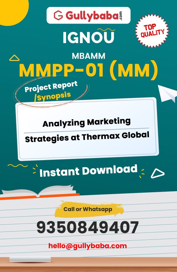 MMPP-01 (MM) Project – Analyzing Marketing Strategies at Thermax Global