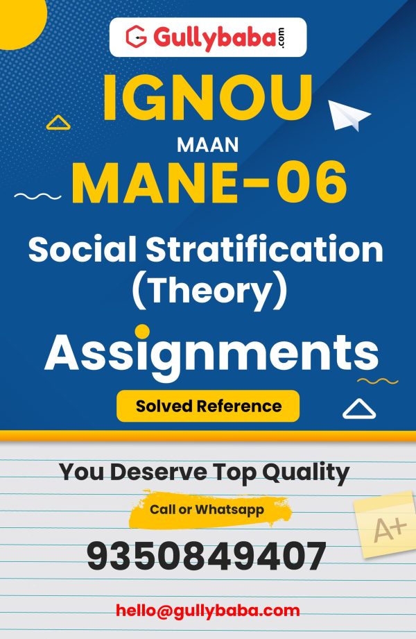 MANE-06 Assignment