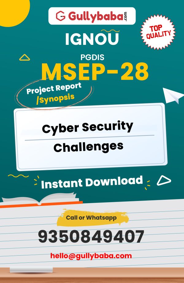 MSEP-28 Project – CYBER SECURITY CHALLENGES