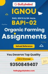 Assignment-BAPI-02
