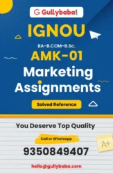Assignment-AMK-01