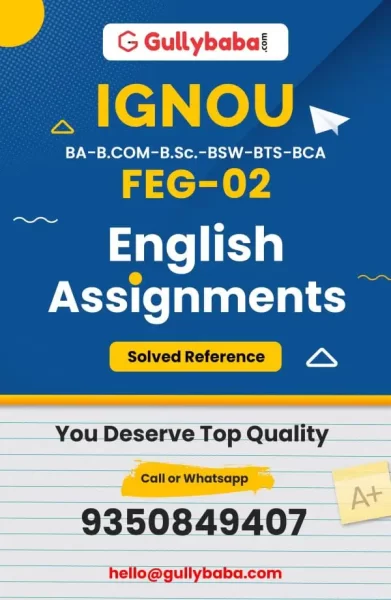 Assignment-FEG-02