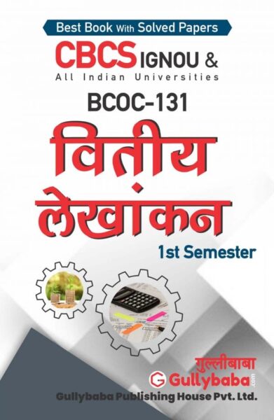 Financial Accounting - Hindi