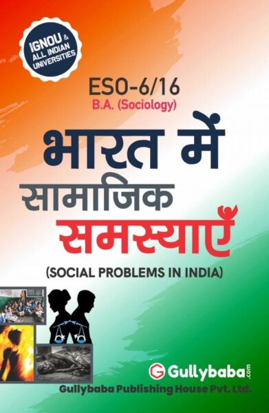 Social Problems in India - Hindi