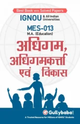 MES-13