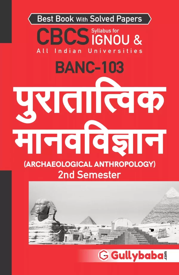 Archaeological Anthropology - Image 3