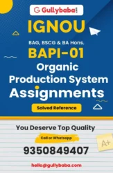 IGNOU BAPI-01 Solved Assignment
