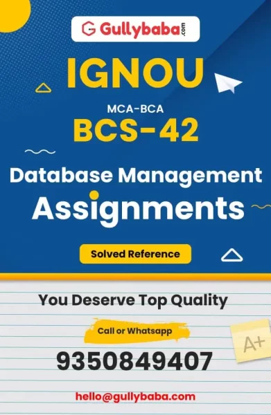 Assignment-BCS-42-min