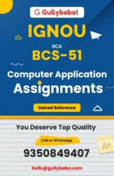 Assignment-BCS-51-min