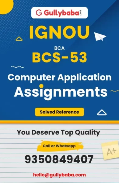 Assignment-BCS-53-min