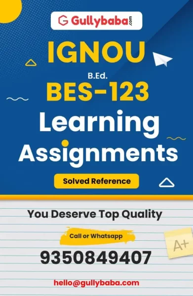 Assignment-BES-123-min