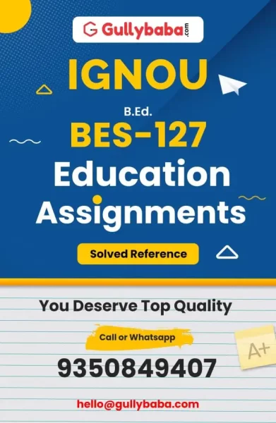 Assignment-BES-127-min