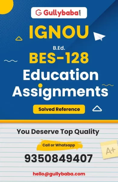 Assignment-BES-128-min