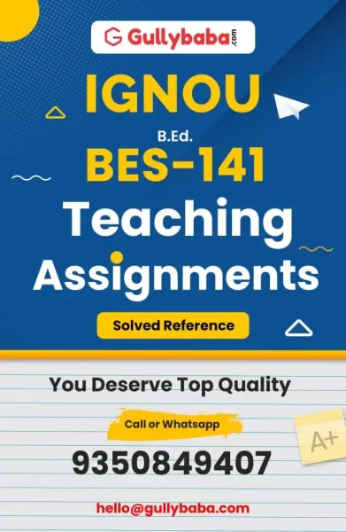 Assignment-BES-141-min