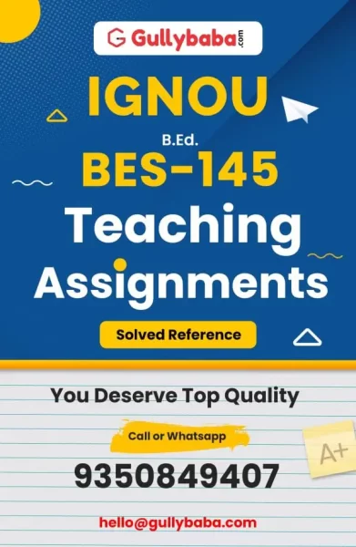 Assignment-BES-145-min