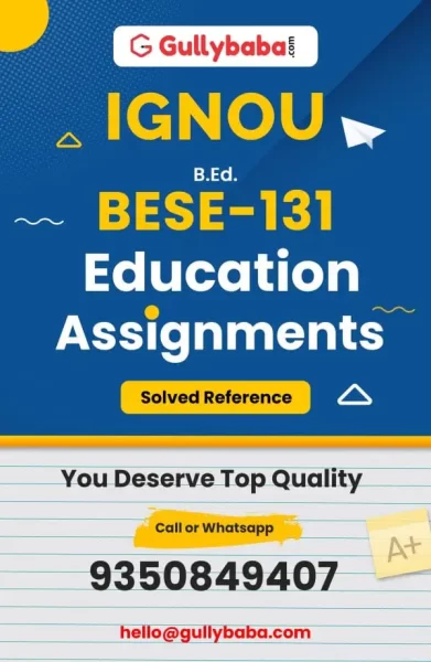 Assignment-BESE-131-min