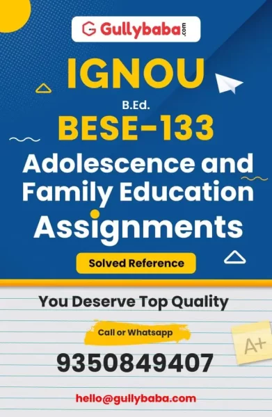Assignment-BESE-133-min