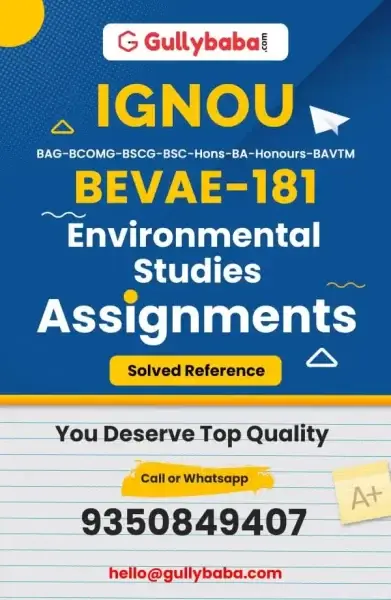 Assignment-BEVAE-181