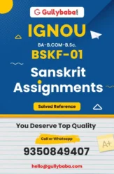 Assignment-BSKF-01-min