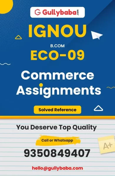 Assignment-ECO-09-min