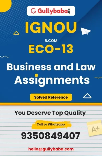 Assignment-ECO-13-min
