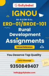 Assignment-ERD-01-BRDE-101-min