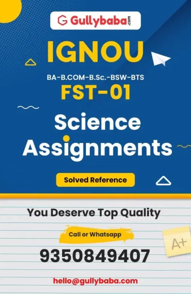 Assignment-FST-01-min