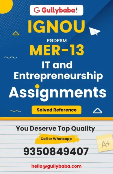 Assignment-MER-13-min