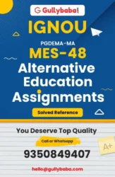 Assignment-MES-48-min