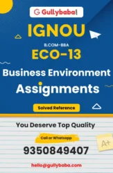 ECO-13: Business Environment